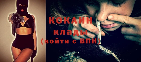 apvp Дмитриев