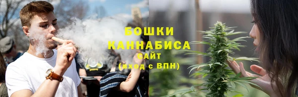 дживик Дмитров