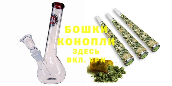 apvp Дмитриев