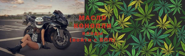 дживик Дмитров