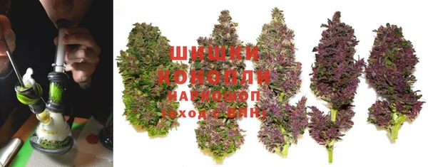 дживик Дмитров