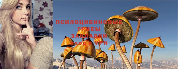 дживик Дмитров