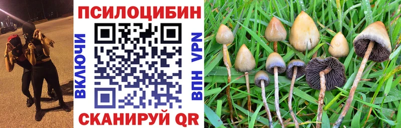 Купить  Сысерть  Галлюциногенные грибы мицелий 